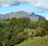 Lake Barrington Vineyard - Restaurant Gold Coast