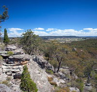 Munghorn Gap Nature Reserve - Restaurant Gold Coast