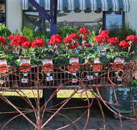 Van Loon's Nursery - Restaurant Gold Coast