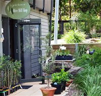 The Lighthouse Olive Mill Shop - Restaurant Gold Coast