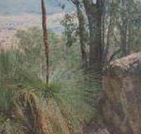 Mount Lawson State Park - Restaurant Gold Coast