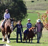 Bathurst Farm Experience - Restaurant Gold Coast