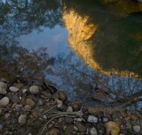 Abercrombie Karst Conservation Reserve - Restaurant Gold Coast