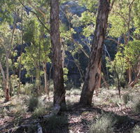 Mount Gray walking track - Restaurant Gold Coast