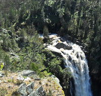 Grove Creek Falls walking track - Restaurant Gold Coast