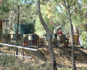 7 Oaks Sapphire Fossicking - Restaurant Gold Coast 0