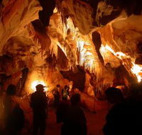 Careys Cave - Restaurant Gold Coast