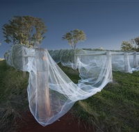 Toppers Mountain Wines - Restaurant Gold Coast