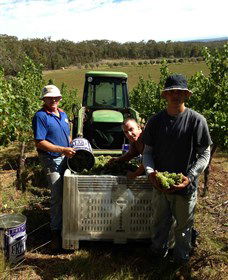 Toppers Mountain Wines - Restaurant Gold Coast 2