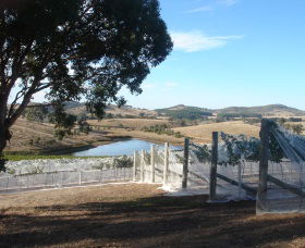 Helm Wines - Restaurant Gold Coast 4