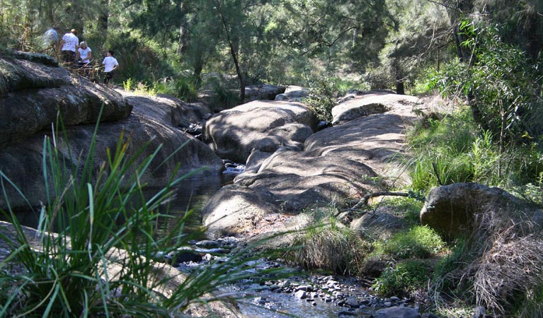 Stewarts Brook NSW Restaurant Gold Coast
