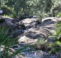 Towarri National Park - Restaurant Gold Coast