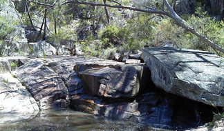 Book Deepwater NSW Attractions Restaurant Gold Coast Restaurant Gold Coast