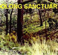 Oolong Sanctuary - Restaurant Gold Coast