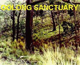 Oolong Sanctuary - Restaurant Gold Coast 0
