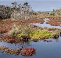 French Island National Park - Restaurant Gold Coast