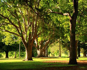 Queens Park, Toowoomba - Restaurant Gold Coast 1