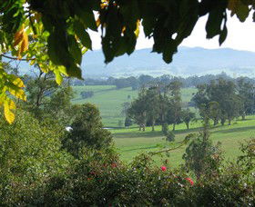 Brandy Creek Wines & View Cafe - Restaurant Gold Coast 5