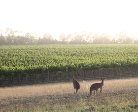Small Forest Wine - Restaurant Gold Coast 0