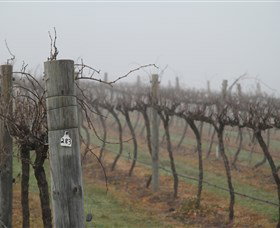 Small Forest Wine - Restaurant Gold Coast 1