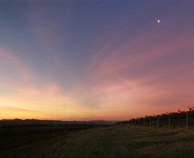 Small Forest Wine - Restaurant Gold Coast 2