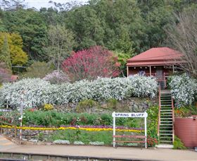 Spring Bluff Railway Station - Restaurant Gold Coast 1