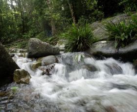 Washpool National Park - Restaurant Gold Coast 0
