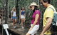 Toowoomba Water Bird Habitat - thumb 1