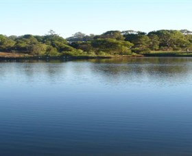 Toowoomba Water Bird Habitat - Restaurant Gold Coast 2