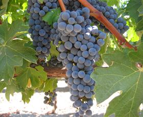 Joshuas Fault Wine - Restaurant Gold Coast 0