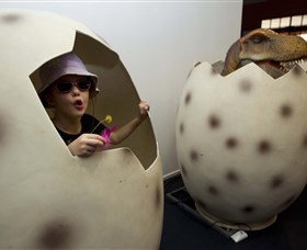 National Dinosaur Museum - Restaurant Gold Coast 2