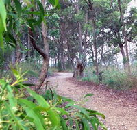 Mount Mutton Walking Trail - Restaurant Gold Coast