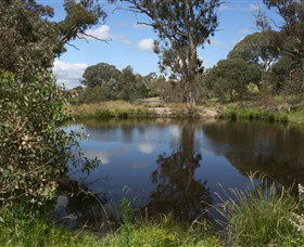 Cooleman Ridge - Restaurant Gold Coast 0