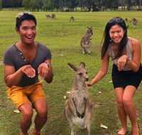 Runaway Tours - Restaurant Gold Coast