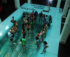 I'm Free Tours - Restaurant Gold Coast 1