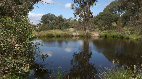 Cooleman Ridge - Restaurant Gold Coast 3