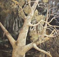 Ku-Ring-Gai Art Centre  Gallery - Restaurant Gold Coast