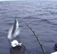 Amokura Charters - Restaurant Gold Coast