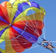 Port Stephens Parasailing - Restaurant Gold Coast
