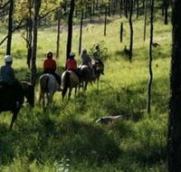 Hunter Valley Horse Riding and Adventures - Restaurant Gold Coast