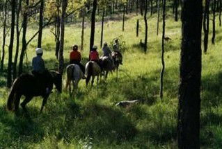 Hunter Valley Horse Riding And Adventures - Restaurant Gold Coast 0