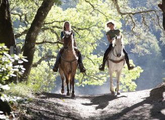 Hunter Valley Horse Riding And Adventures - Restaurant Gold Coast 1