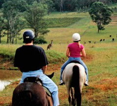 Hunter Valley Horse Riding And Adventures - Restaurant Gold Coast 3