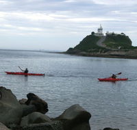 Newcastle Kayak Tours - Restaurant Gold Coast