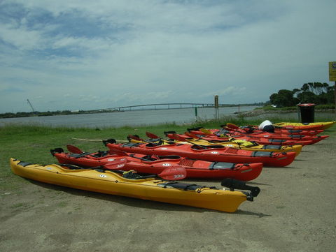 Newcastle Kayak Tours - Restaurant Gold Coast 2