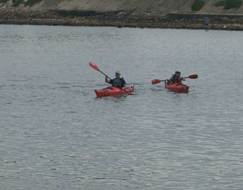 Newcastle Kayak Tours - Restaurant Gold Coast 4