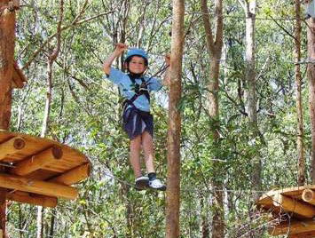 TreeTops Newcastle - Restaurant Gold Coast 0