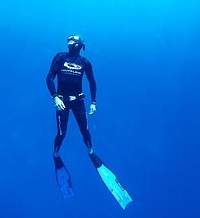 Byron Bay Dive Centre - Restaurant Gold Coast 1