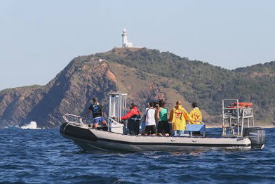 Byron Bay Dolphin Wildlife Tours - Restaurant Gold Coast 1