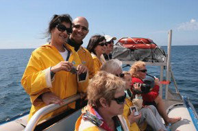 Byron Bay Dolphin Wildlife Tours - Restaurant Gold Coast 2